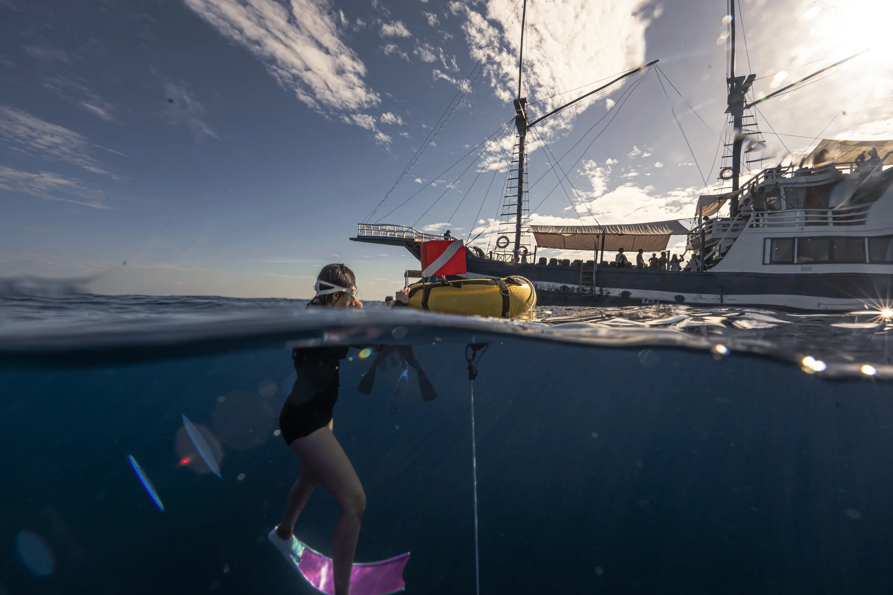 Freediver Walena di bawah permukaan laut yang jernih