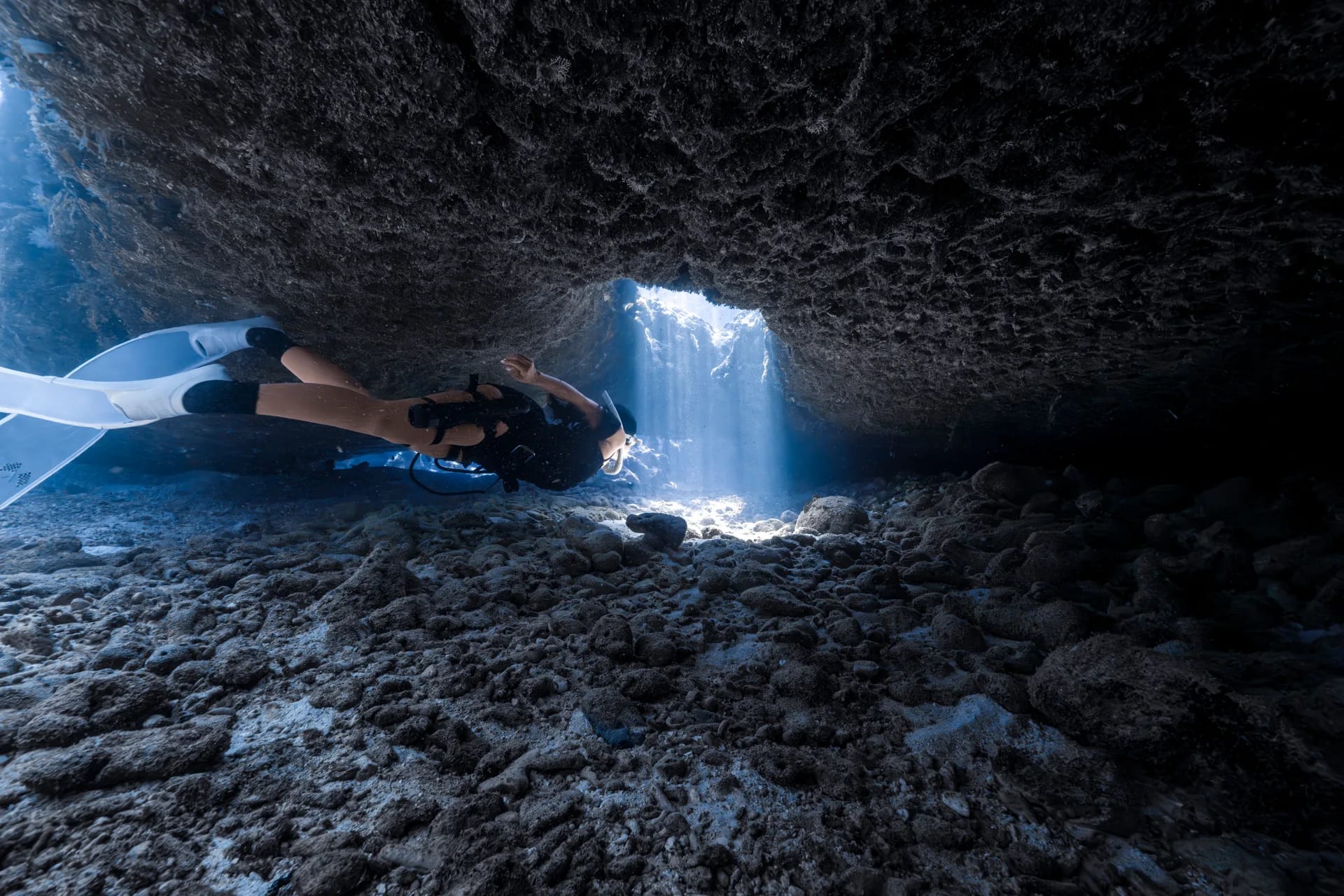 Peserta trip Walena Freedive di permukaan laut bersama instruktur